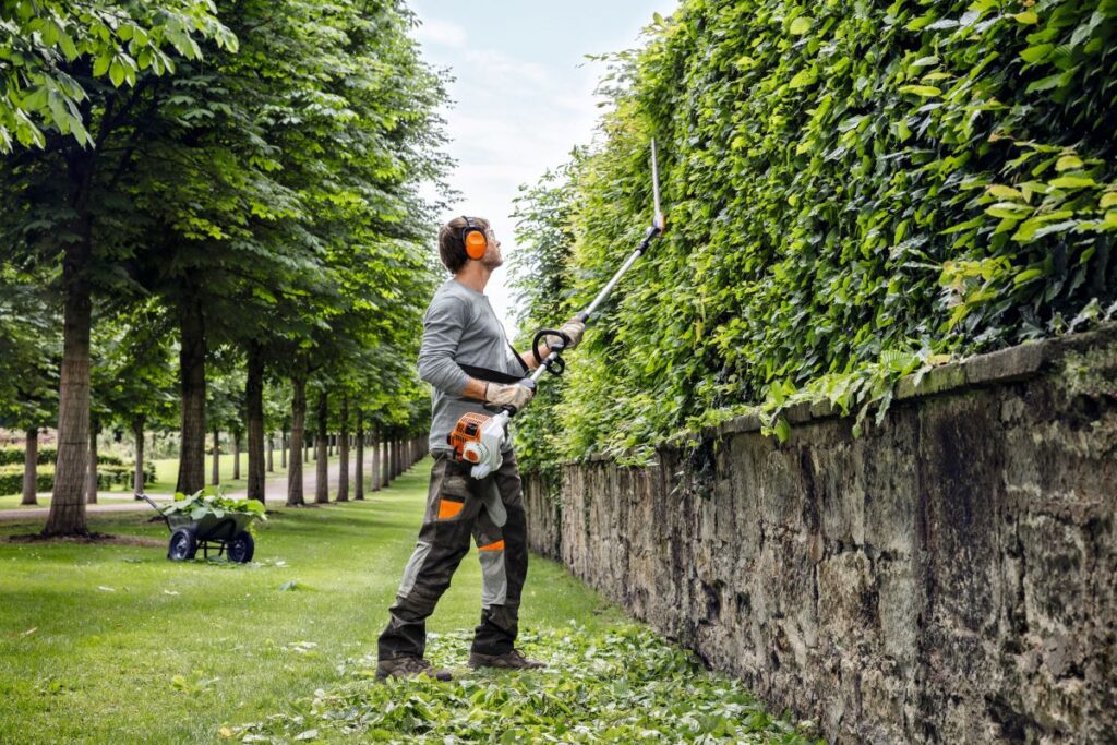 benefits of professional hedge trimming