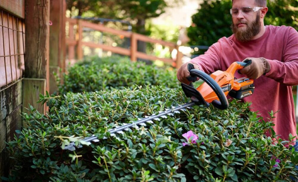 benefits of professional hedge trimming