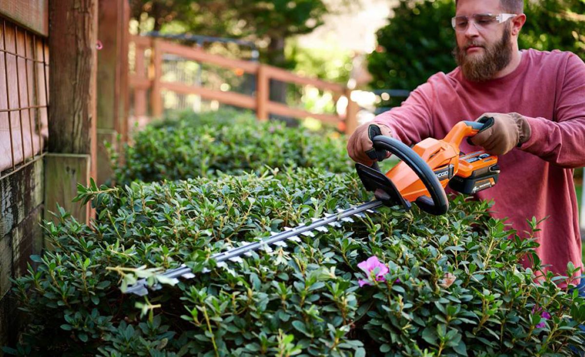 benefits of professional hedge trimming