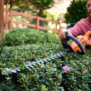 Benefits of Hiring a Professional Hedge Trimming Service for Your Property
